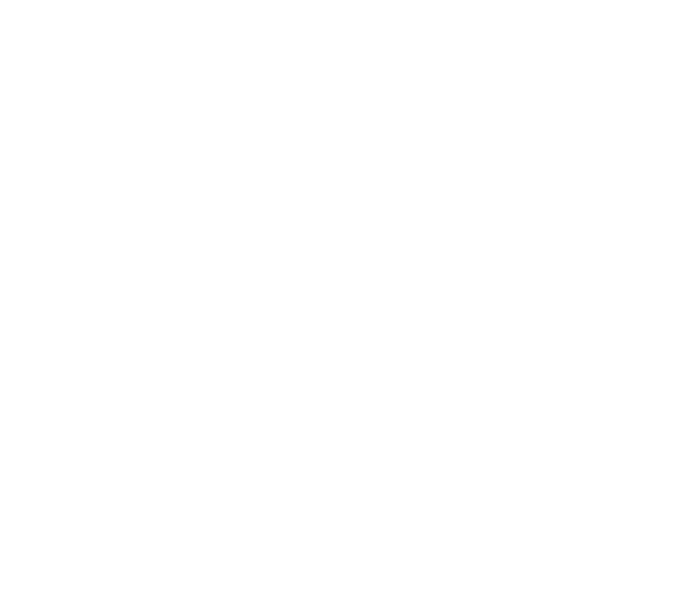 Global Shapers Community Valencia